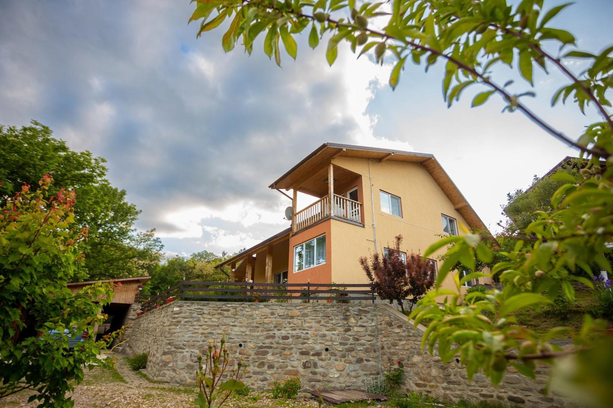 Casa Rumelia Paltineni Exteriör bild