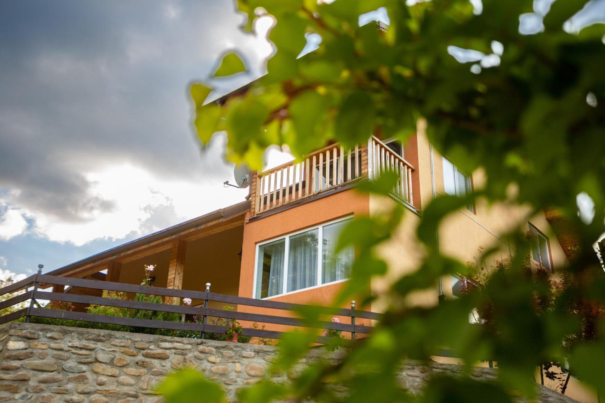 Casa Rumelia Paltineni Exteriör bild