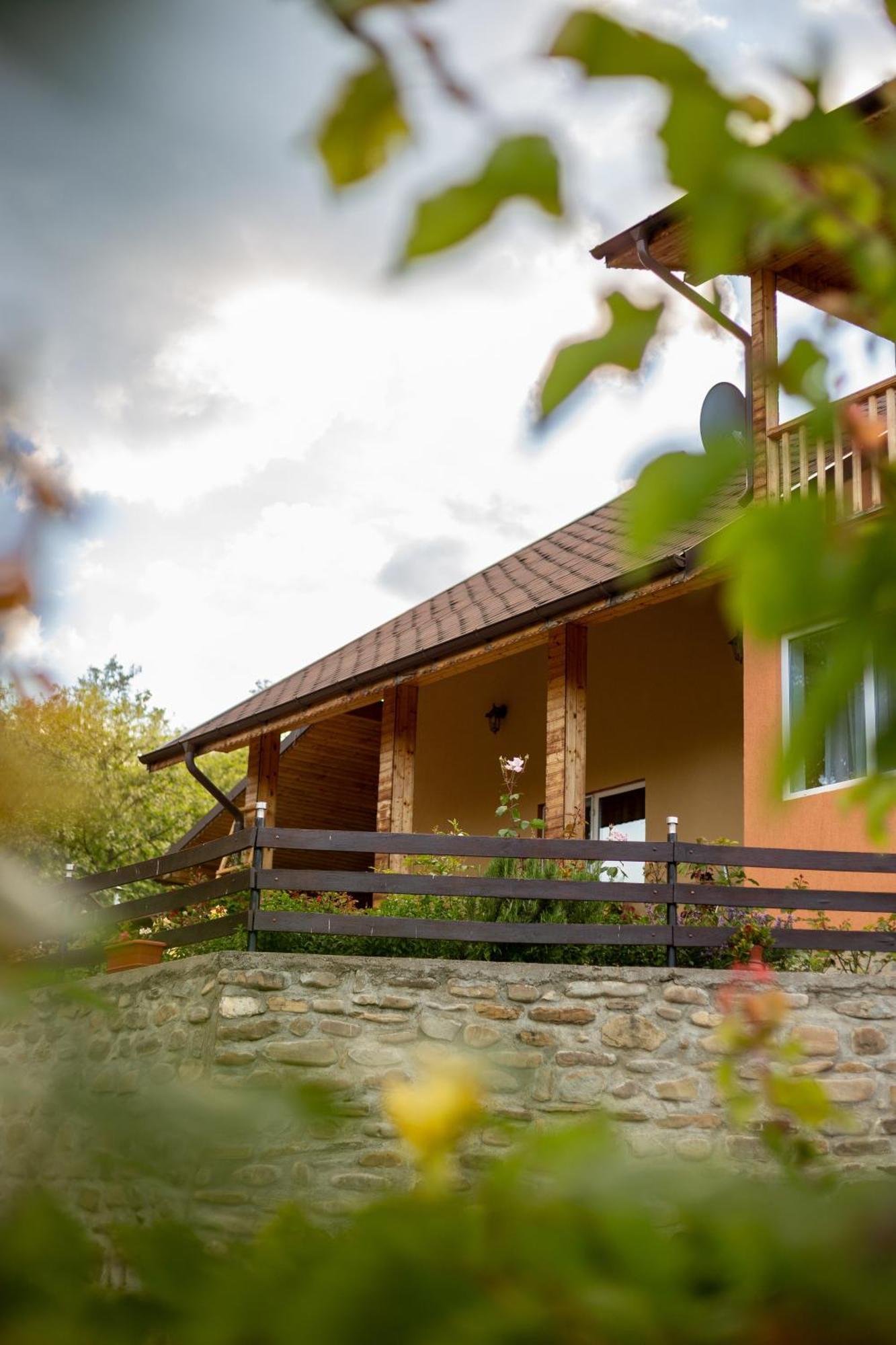 Casa Rumelia Paltineni Exteriör bild