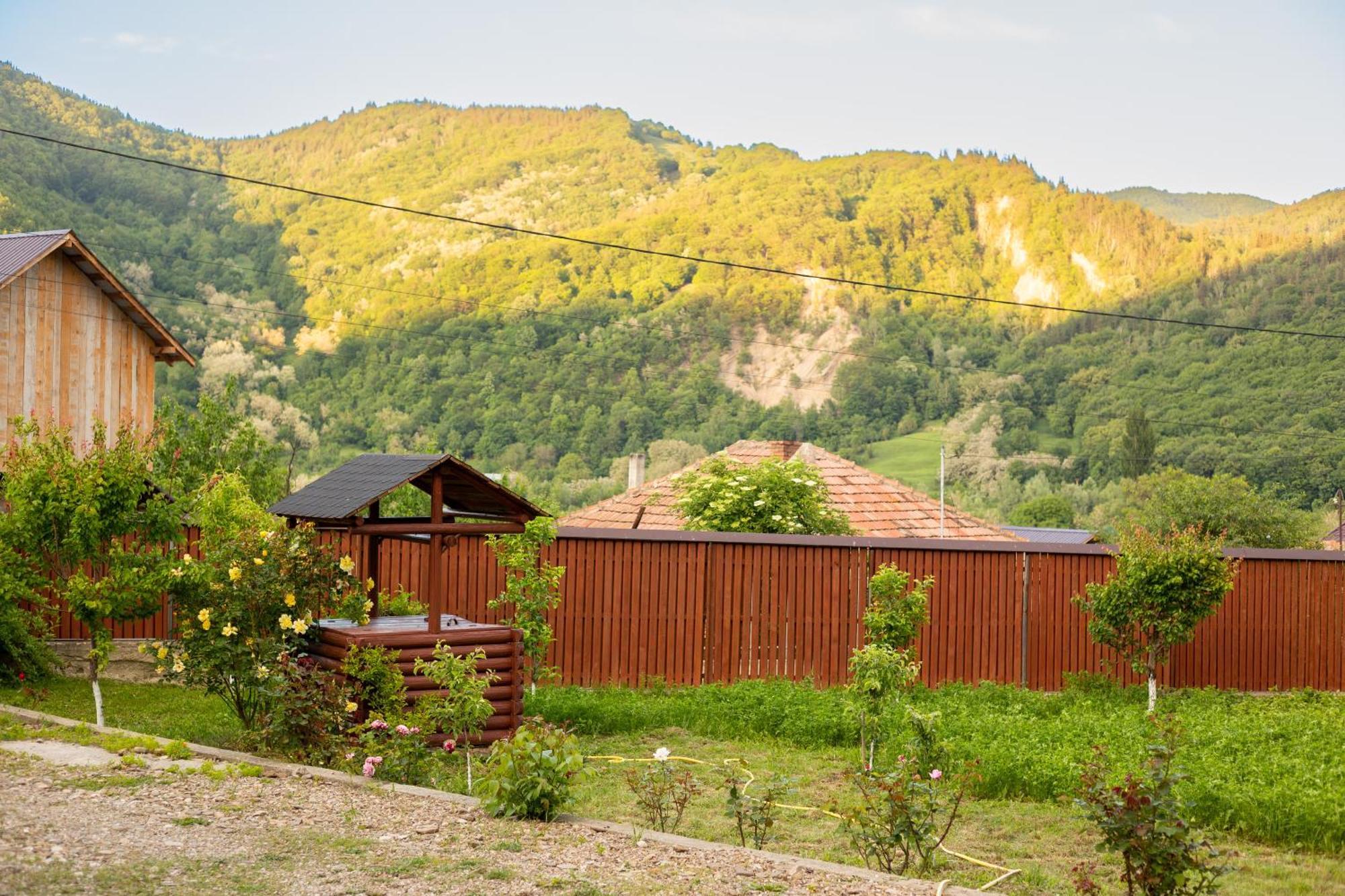 Casa Rumelia Paltineni Exteriör bild